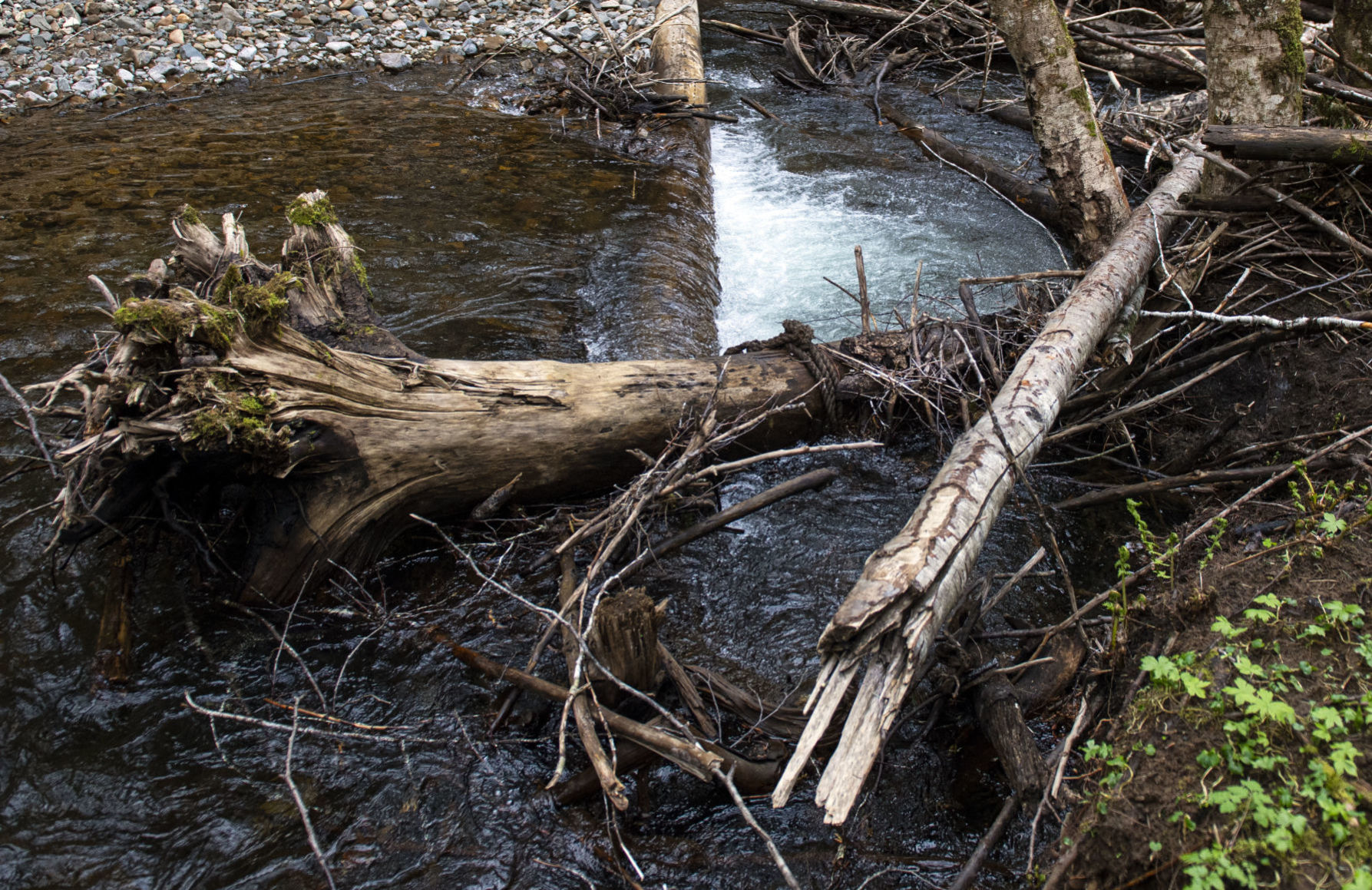 Log jam